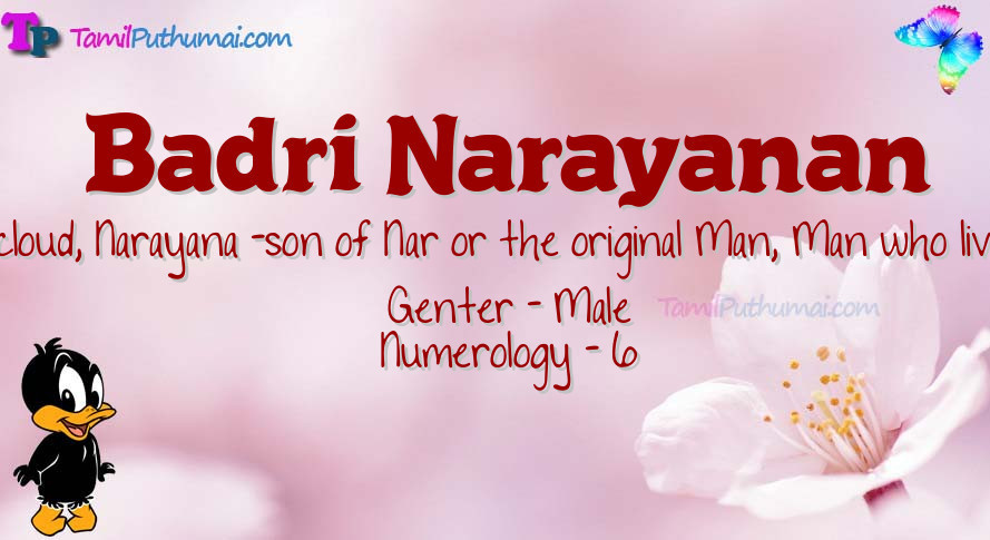 Badri Narayanan-babyname-meaning